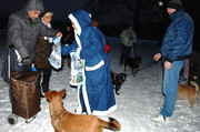 Hundeweihnachtsmann im Schillerpark